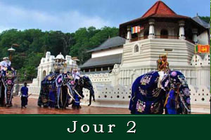 Excursion in Sri Lanka
